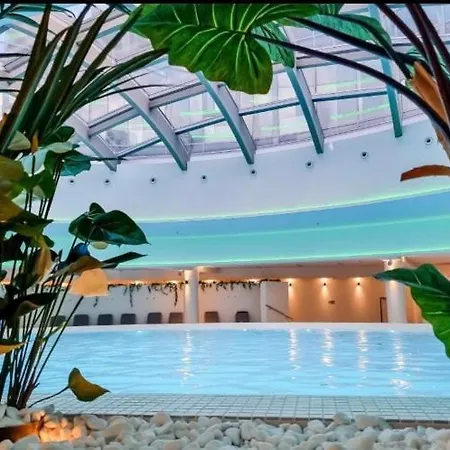Hanza Tower Bohemia 23 Pool & Jacussi *